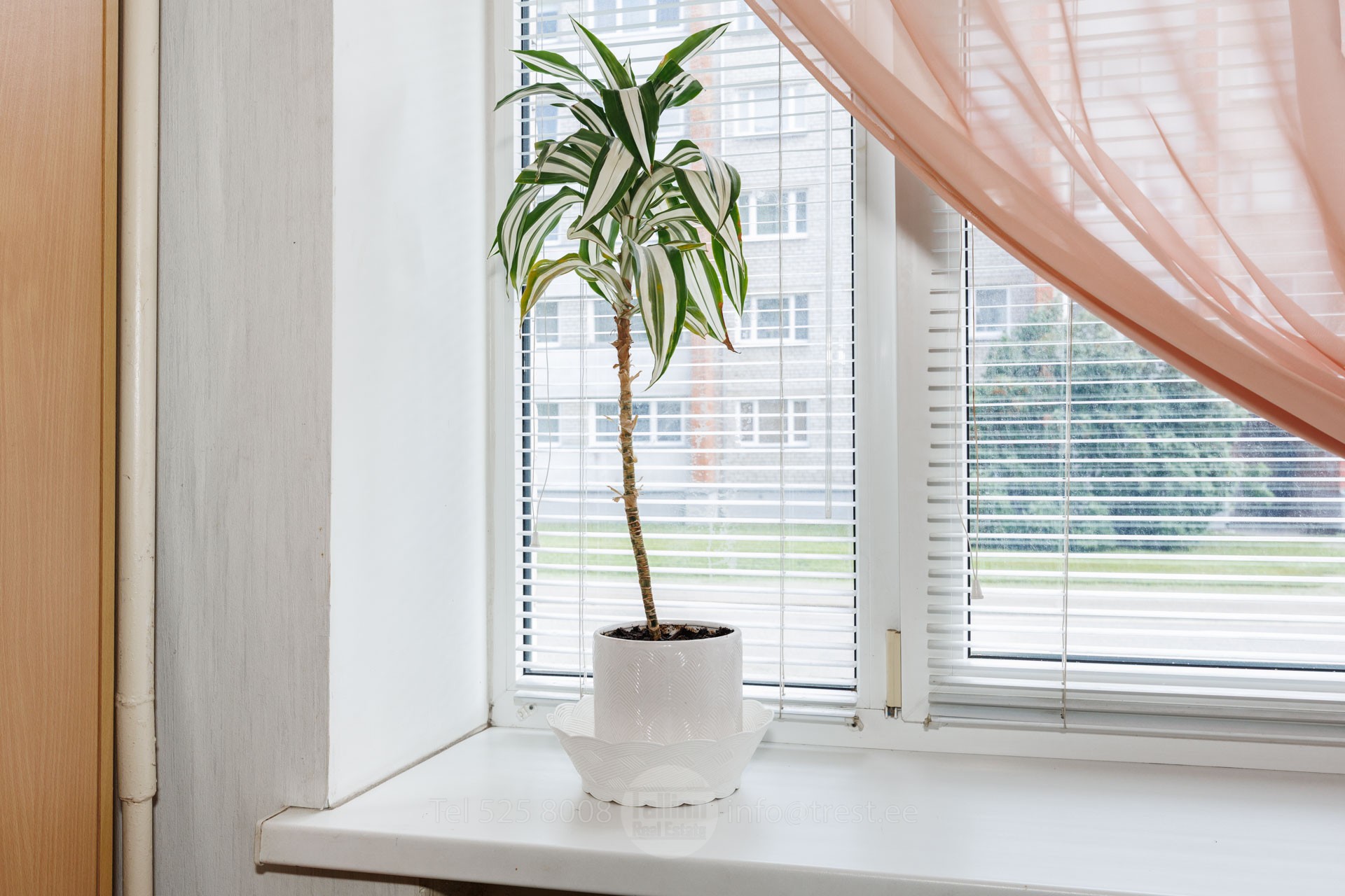 Randla tn 26, Põhja-Tallinna linnaosa