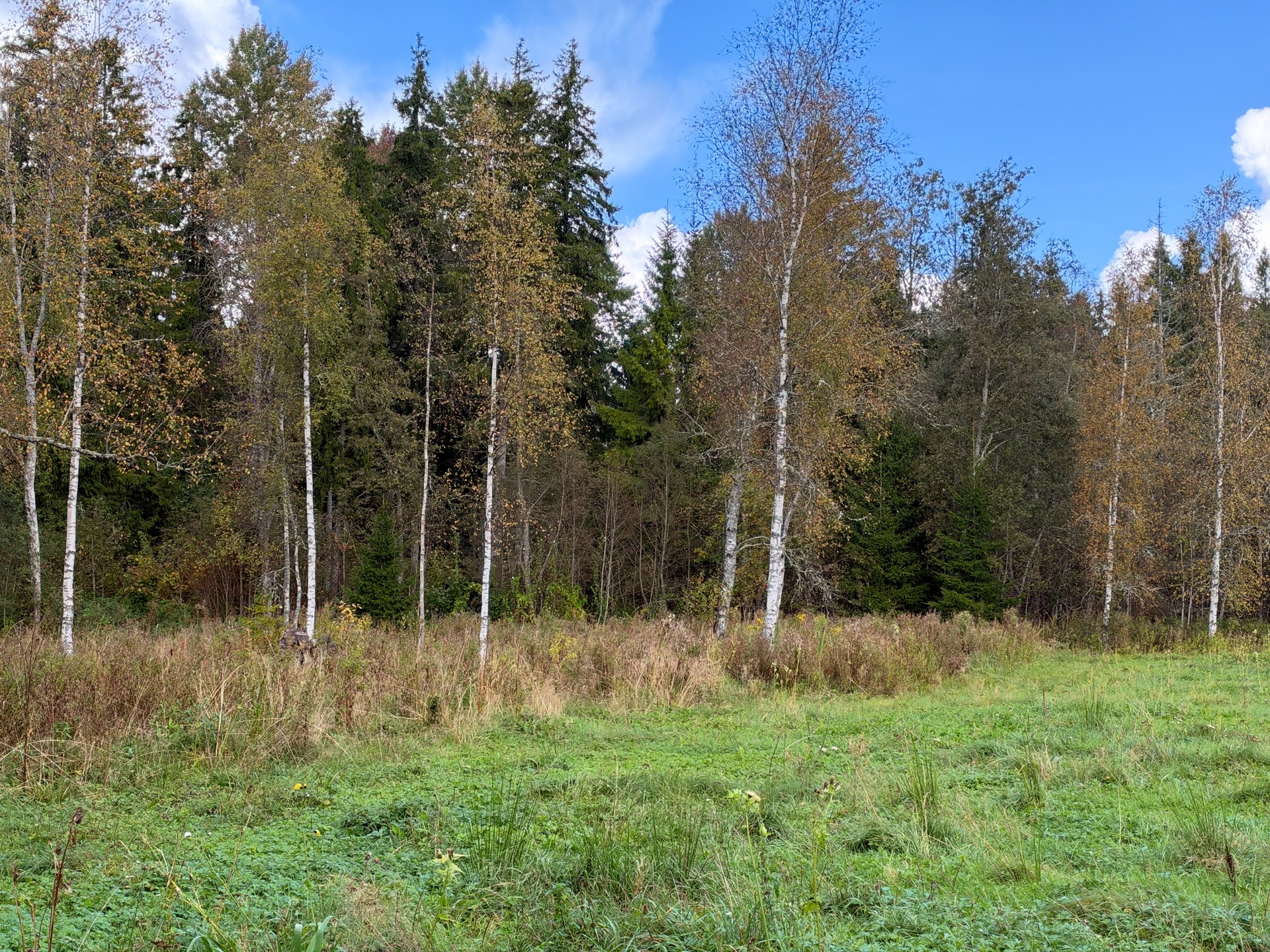 Kangro tee 7, Jägala-Joa