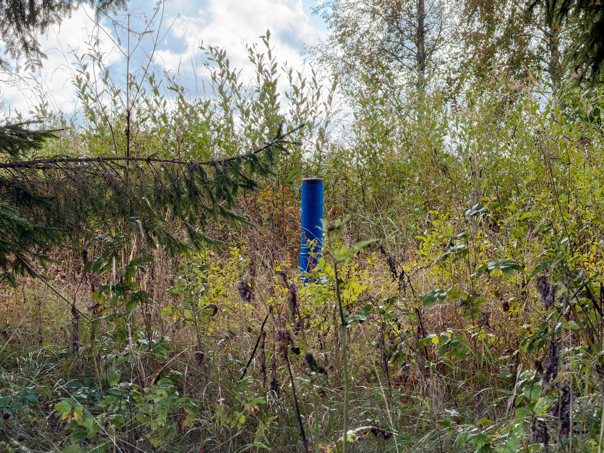 Kangro tee 7, Jägala-Joa