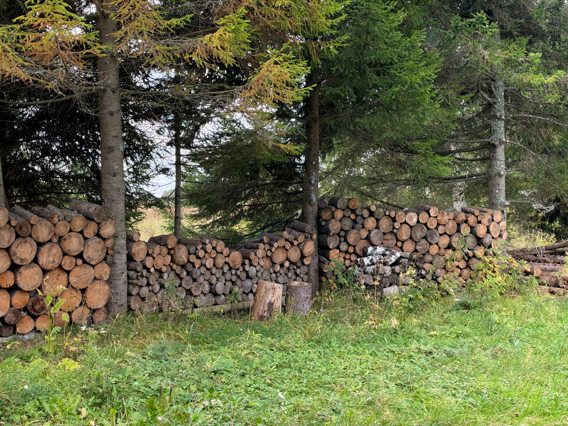 Kangro tee 7, Jägala-Joa